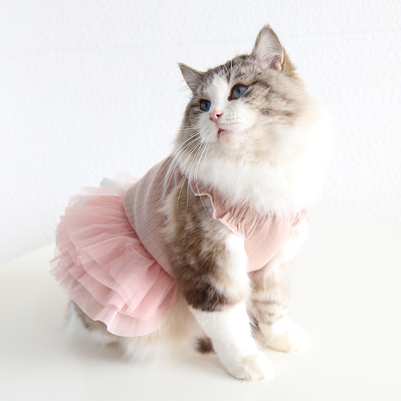 Pet Layered Dress Bow Waist Floral Detail