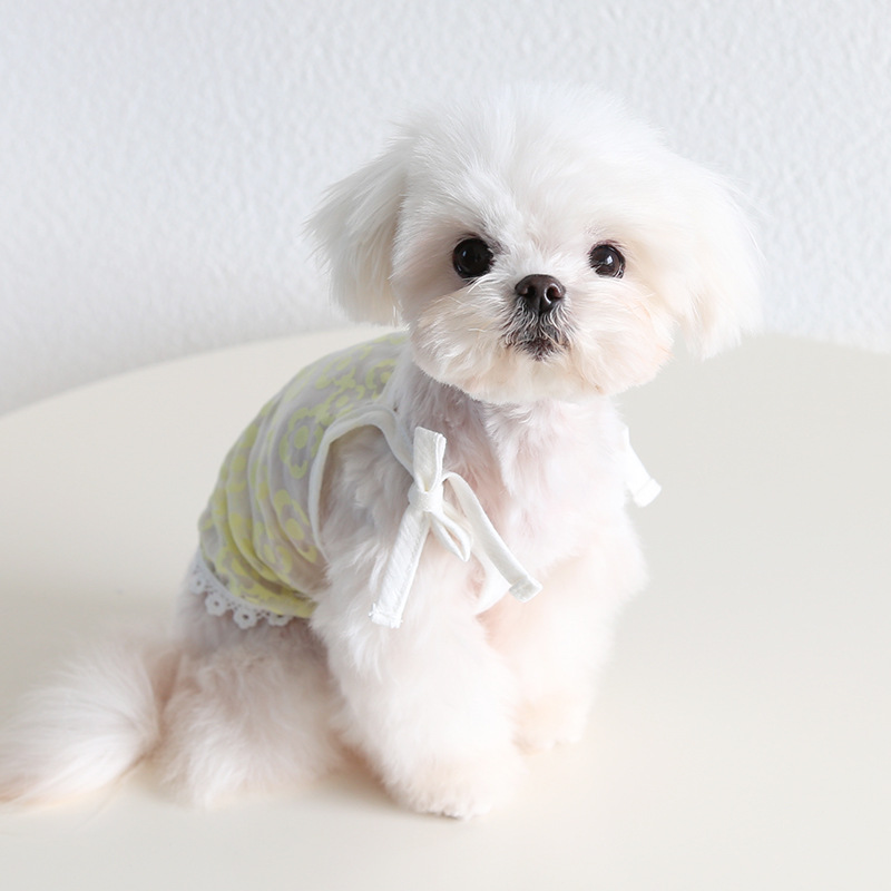 Pet Mesh Vest Bow Tie Lace Trim