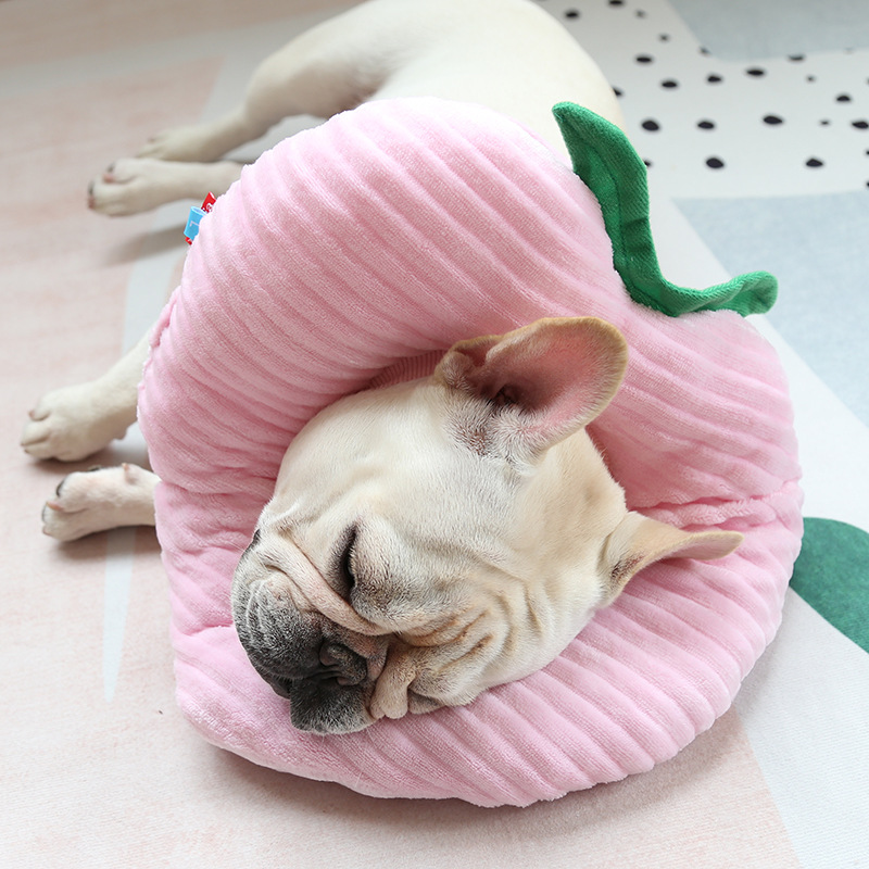 Pet Recovery Collar Soft Pillow Design Comfortable