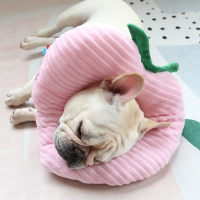 Pet Recovery Collar Soft Pillow Design Comfortable 01
