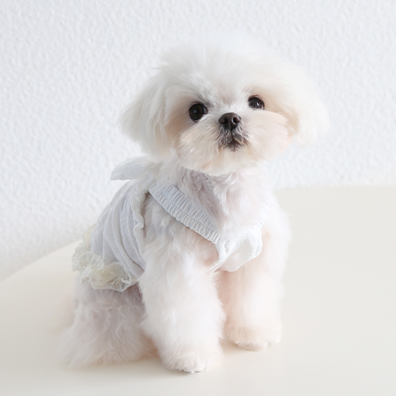 Pet Bubble Dress Spaghetti Strap Bow Detail