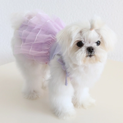 Pet Sheer Dress Thin Strap Bow Tie 02