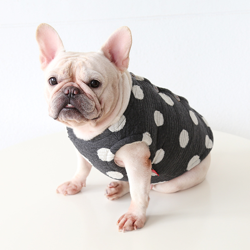 Pet Dot Pattern Knit Vest Four Buttons