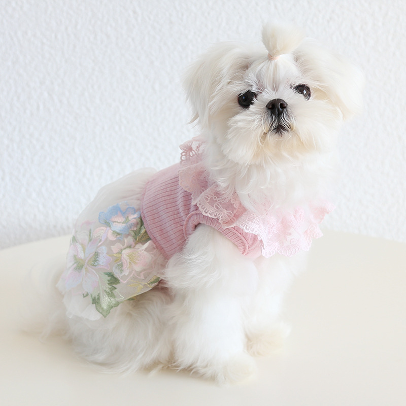 Pet Knit Top Floral Skirt Lace Collar