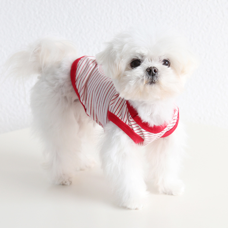 Pet Cheese Print Vest Bow Tie Collar