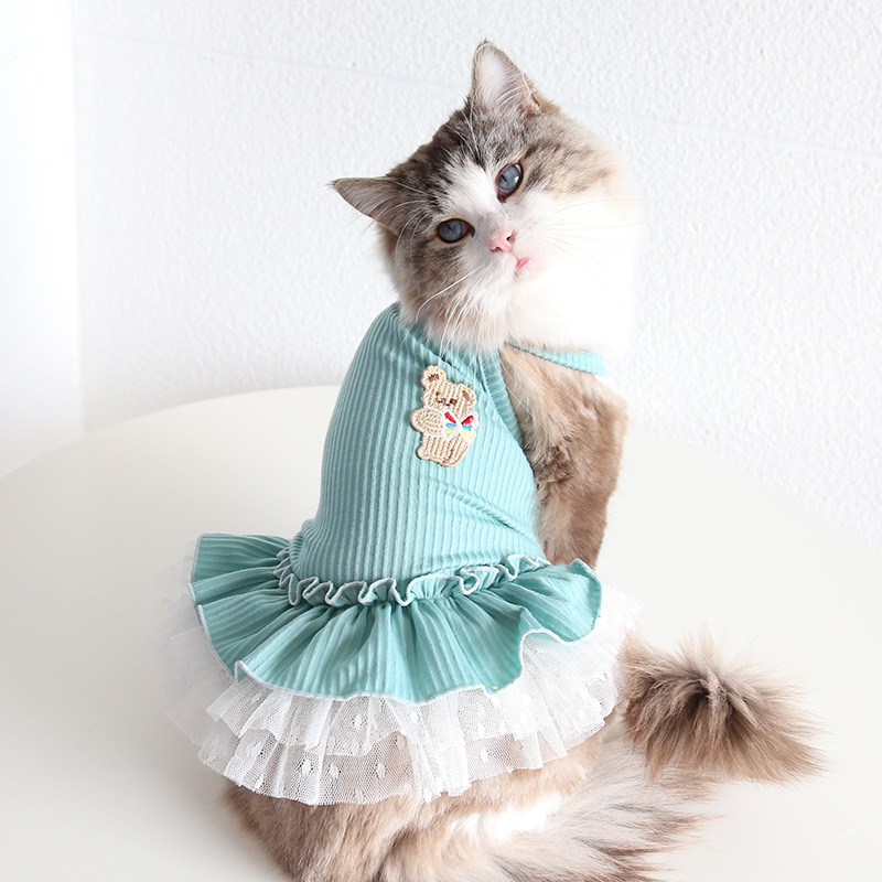 Pet Bear Strappy Knit Dress Lace Skirt