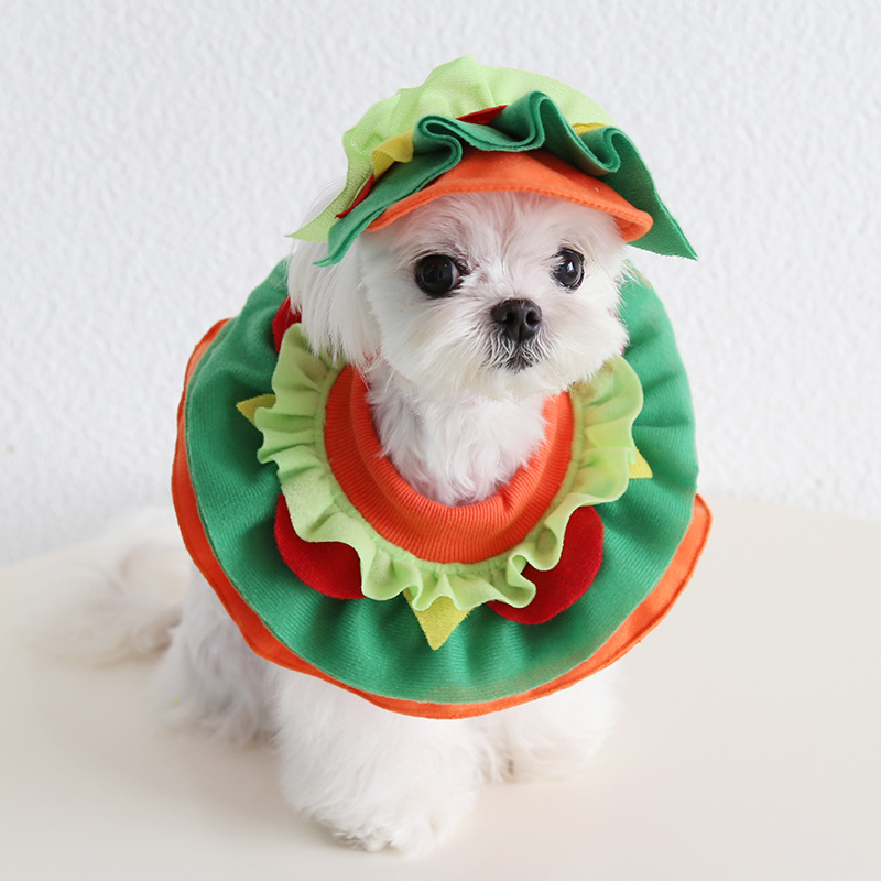 Pet Costume Hat Bandana Set Party Dress