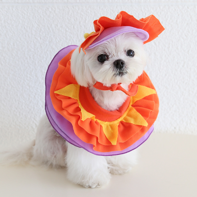 Pet Costume Hat Bandana Set Party Dress