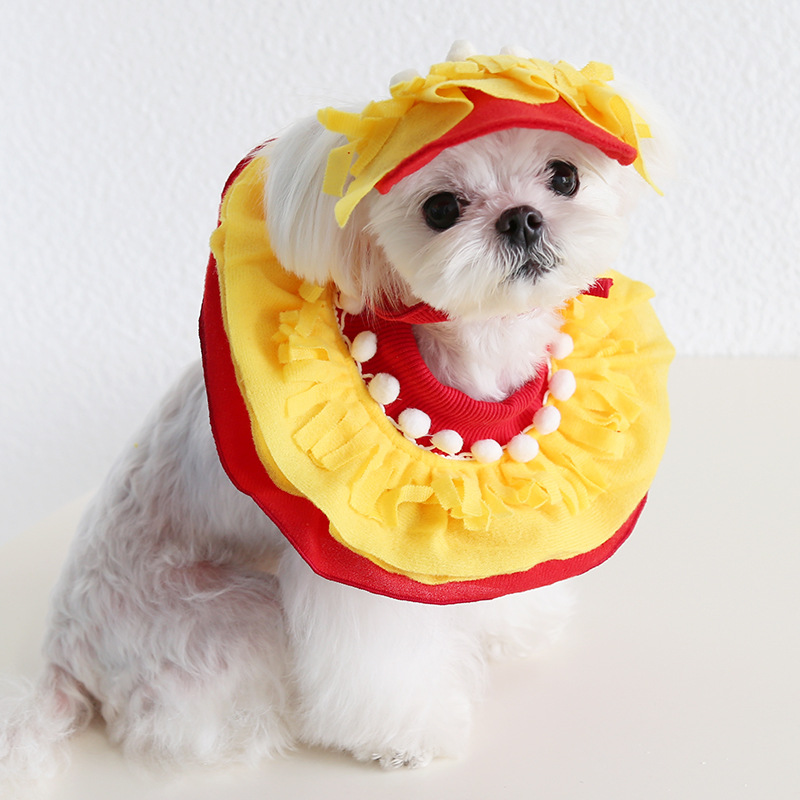 Pet Costume Hat Bandana Set Party Dress