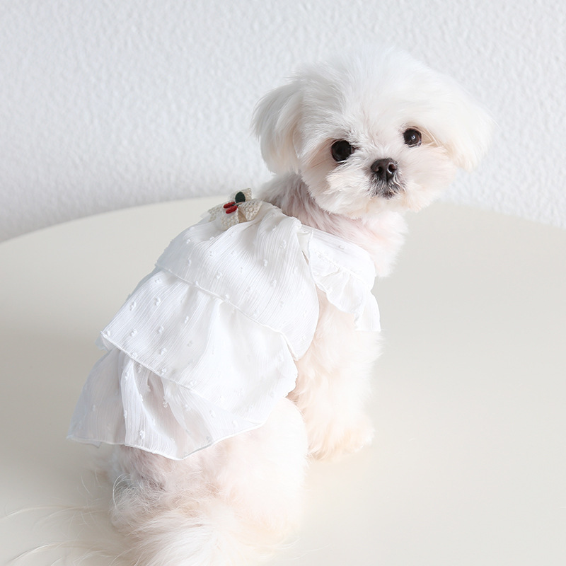 Pet Chiffon Dress Tiered Ruffle Cherry Accent