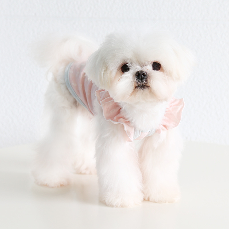 Pet Jacquard Vest Flutter Sleeve Breathable Fabric