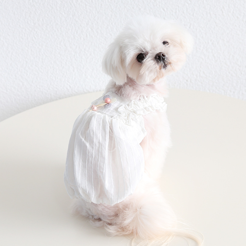 Pet Lace Dress Vertical Stripe Mesh Layered Skirt