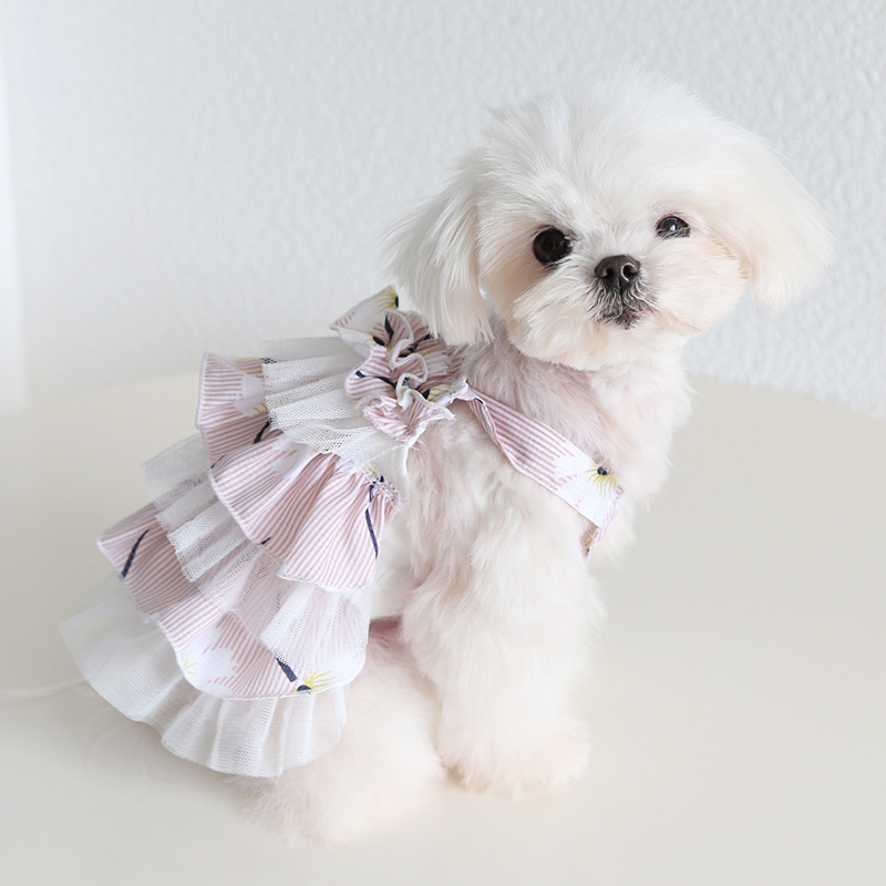Pet Tiered Dress Floral Print Mesh Layer