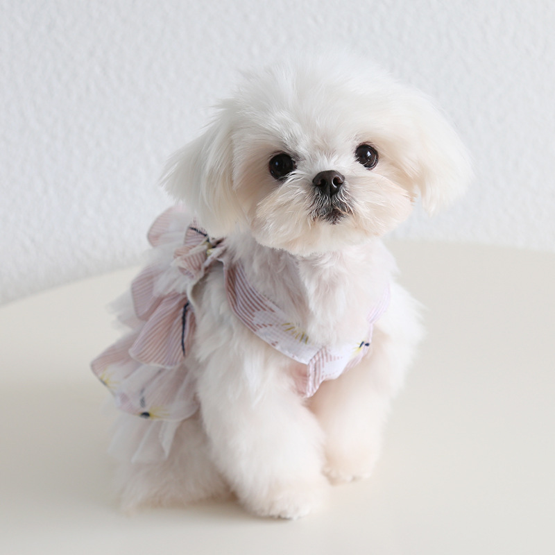 Pet Tiered Dress Floral Print Mesh Layer