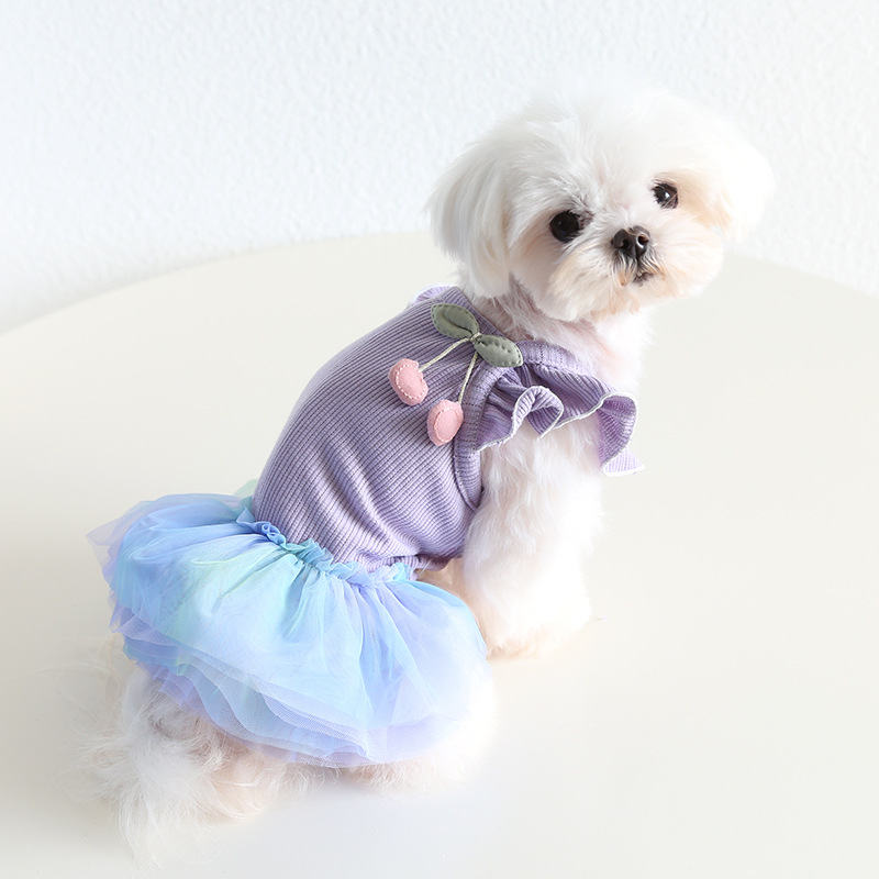 Pet Knit Dress Gradient Tulle Cherry Accent