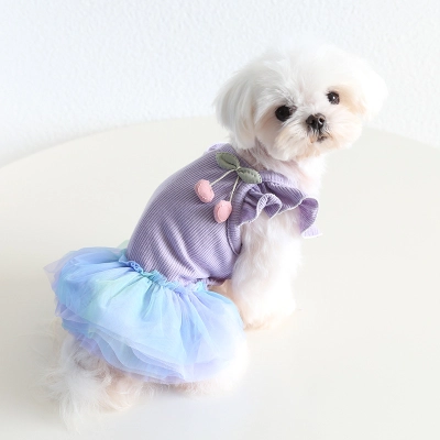 Pet Knit Dress Gradient Tulle Cherry Accent 02