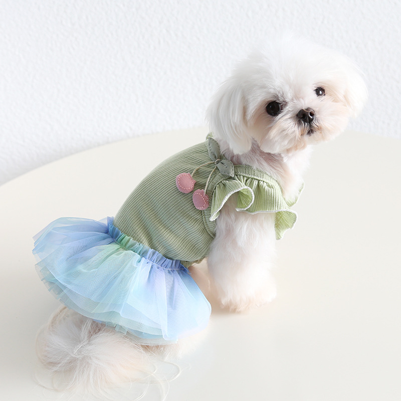 Pet Knit Dress Gradient Tulle Cherry Accent