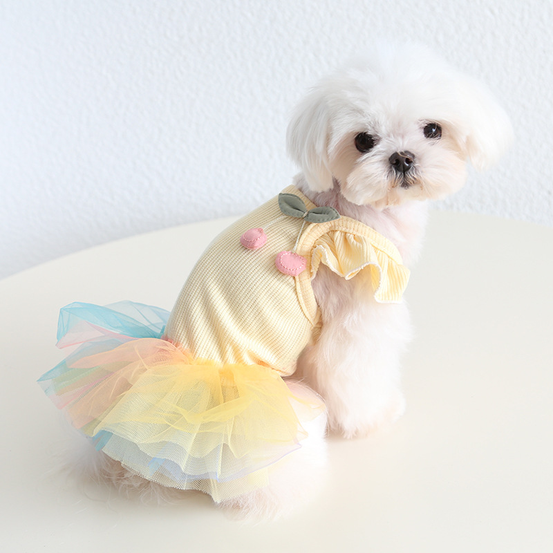 Pet Knit Dress Gradient Tulle Cherry Accent