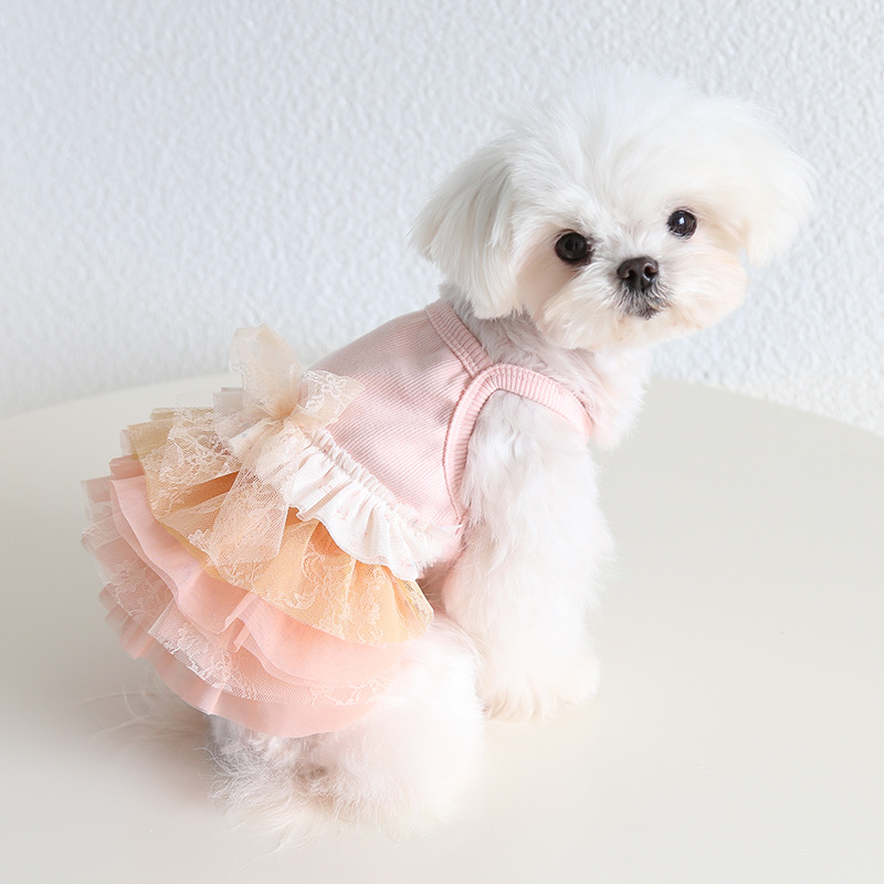 Pet Lace Dress Floral Pattern Halter Neck Design