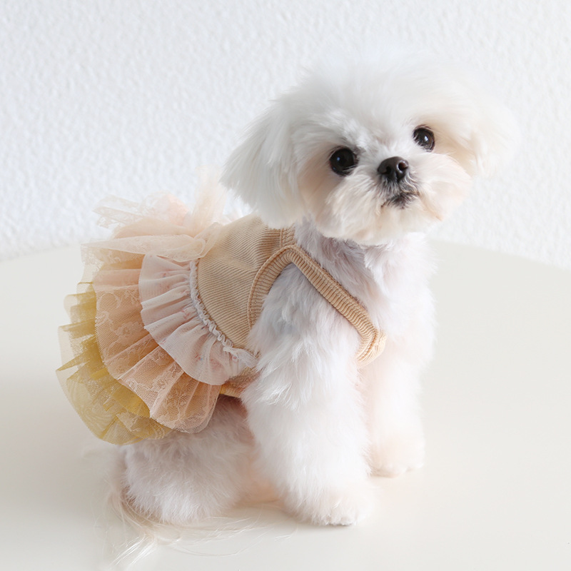 Pet Lace Dress Floral Pattern Halter Neck Design