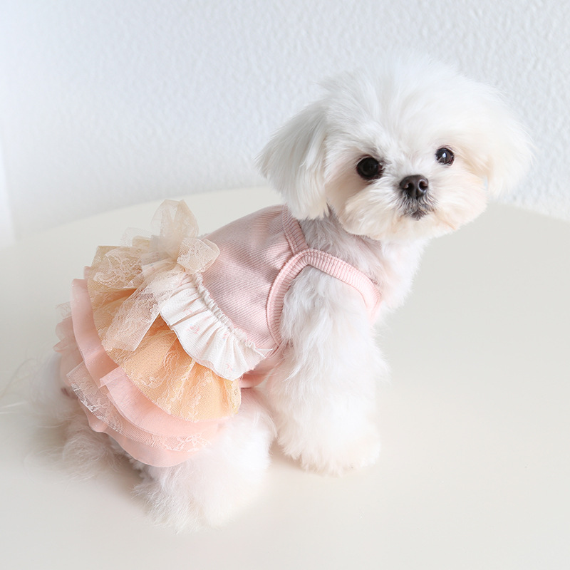 Pet Lace Dress Floral Pattern Halter Neck Design