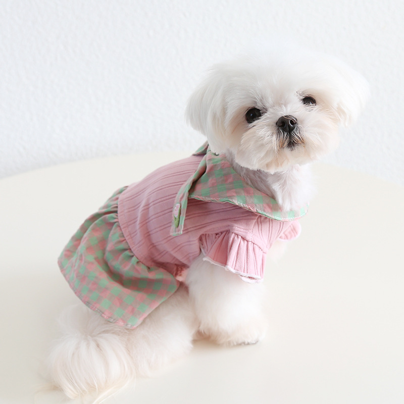 Pet Plaid Dress Double Bow Knit Top