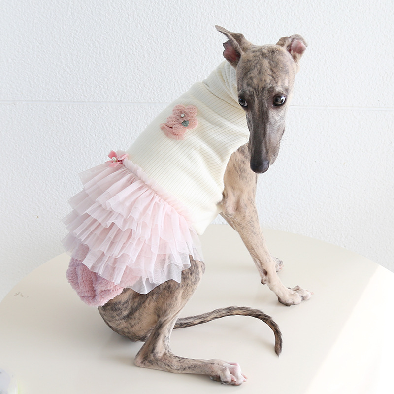 Pet Knit Top Layered Tulle Skirt Set