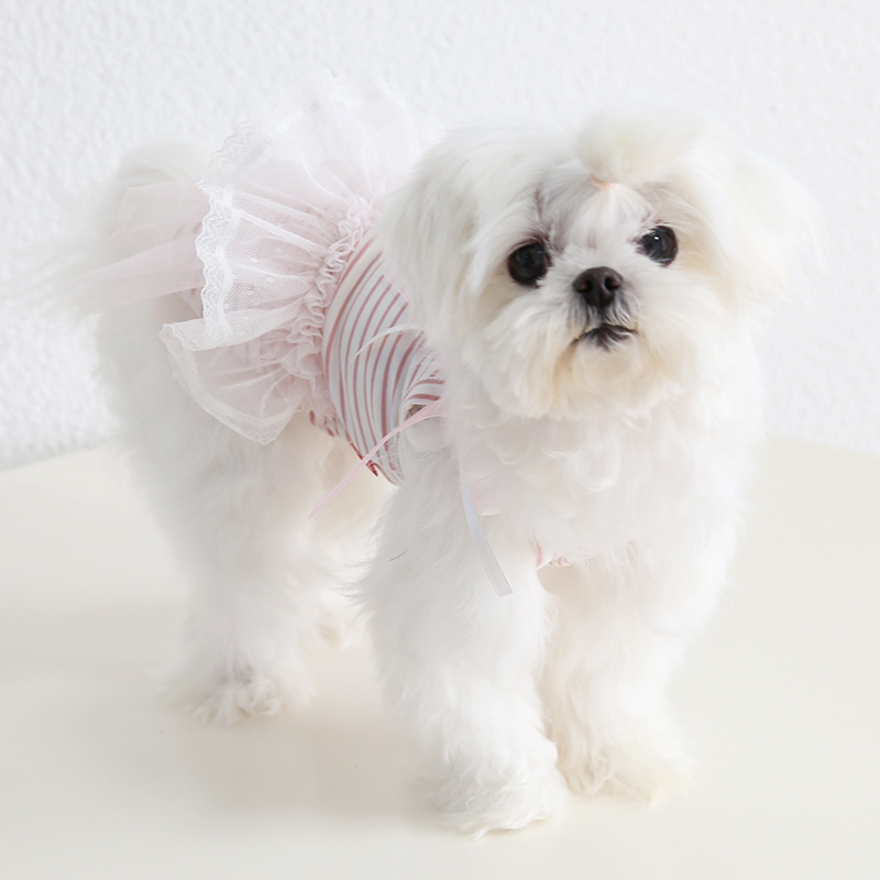 Pet Lace Dress Striped Top Bow Shoulder Design