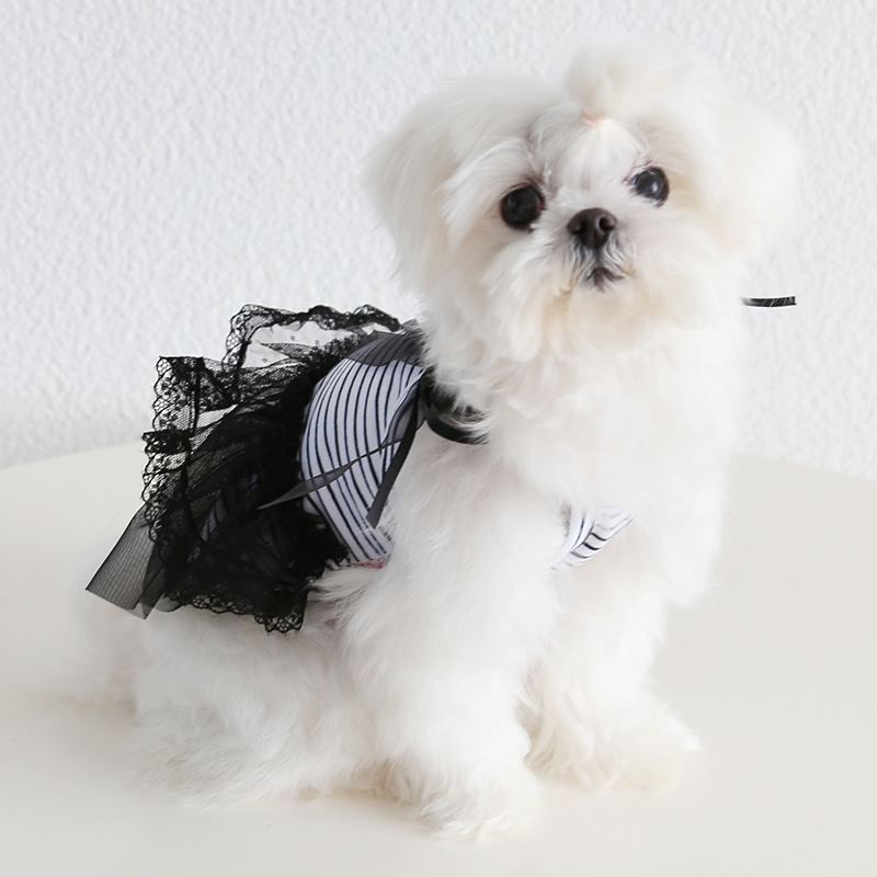Pet Lace Dress Striped Top Bow Shoulder Design