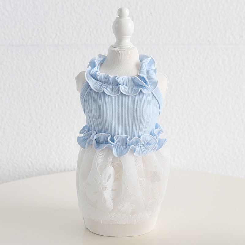 Pet Lace Dress Knit Top Floral Skirt