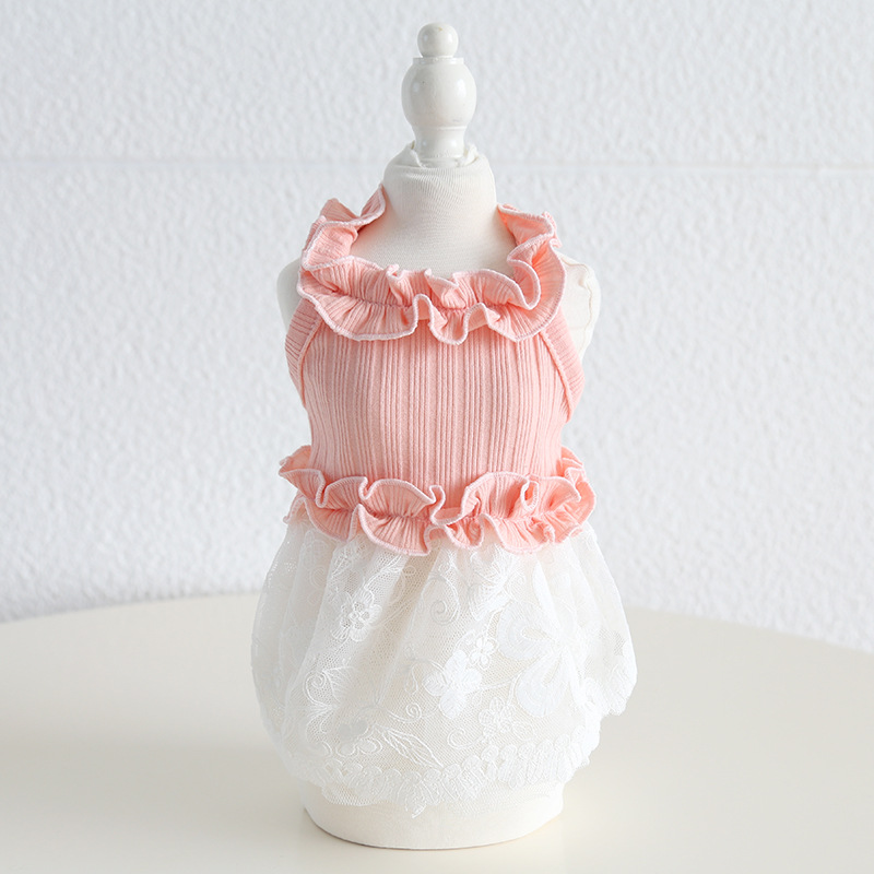 Pet Lace Dress Knit Top Floral Skirt