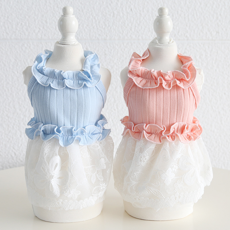 Pet Lace Dress Knit Top Floral Skirt
