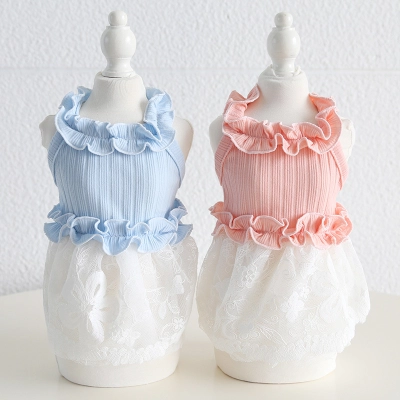 Pet Lace Dress Knit Top Floral Skirt 01