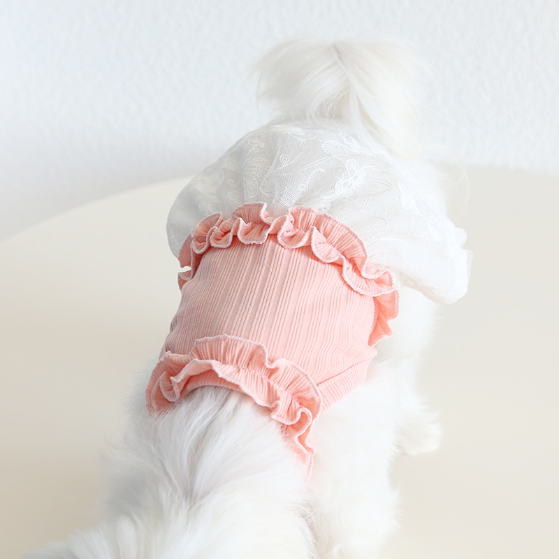 Pet Lace Dress Knit Top Floral Skirt