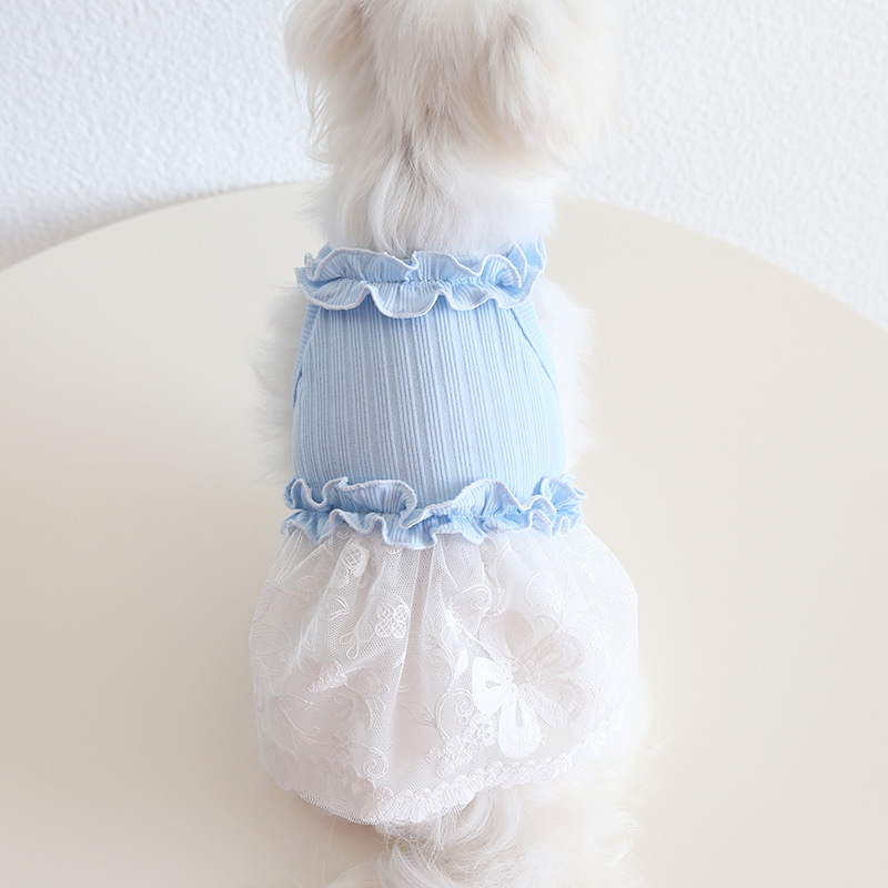 Pet Lace Dress Knit Top Floral Skirt