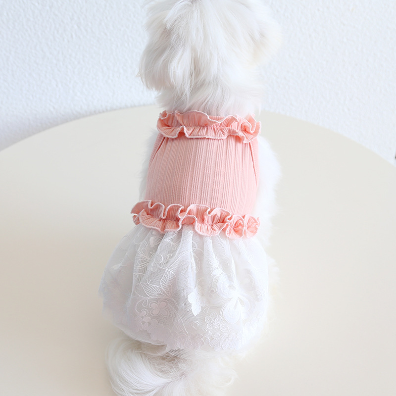 Pet Lace Dress Knit Top Floral Skirt