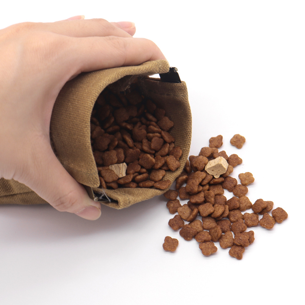 Pet Walking Bag Leash Attachment Snack Pouch