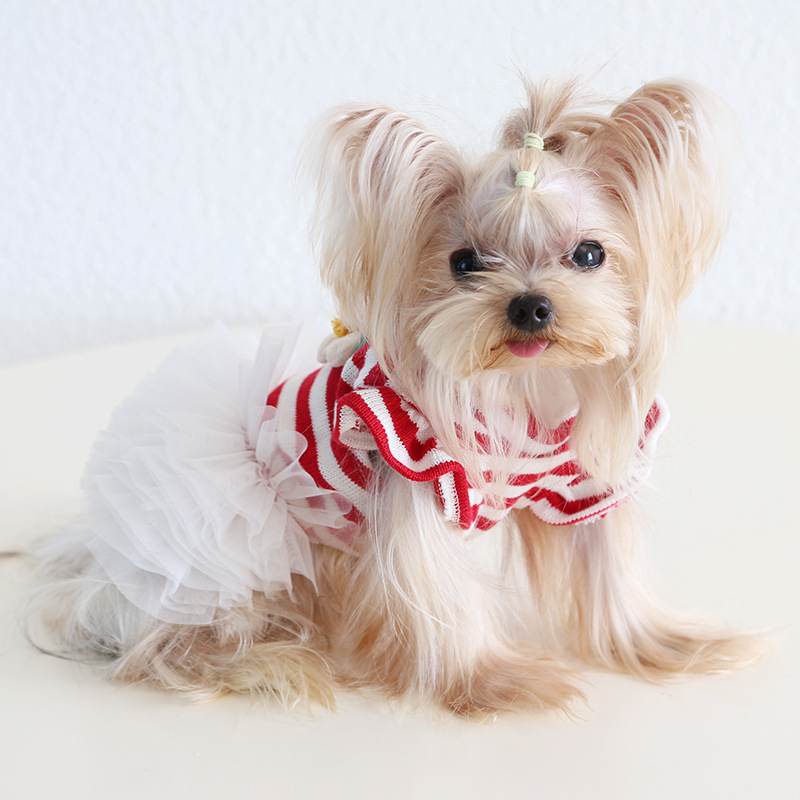Pet Striped Top Tiered Tulle Skirt Set
