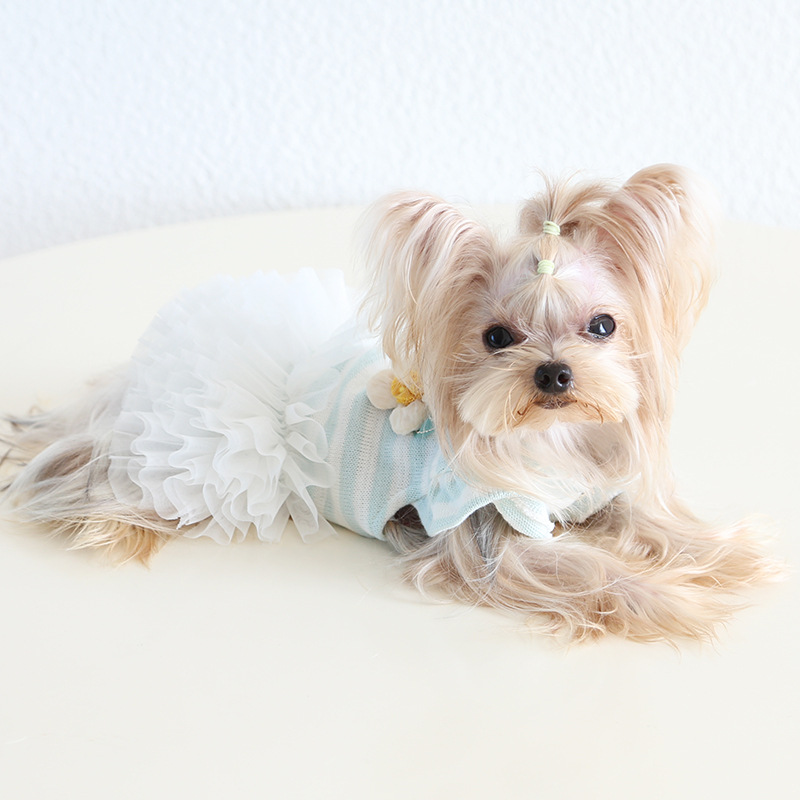 Pet Striped Top Tiered Tulle Skirt Set
