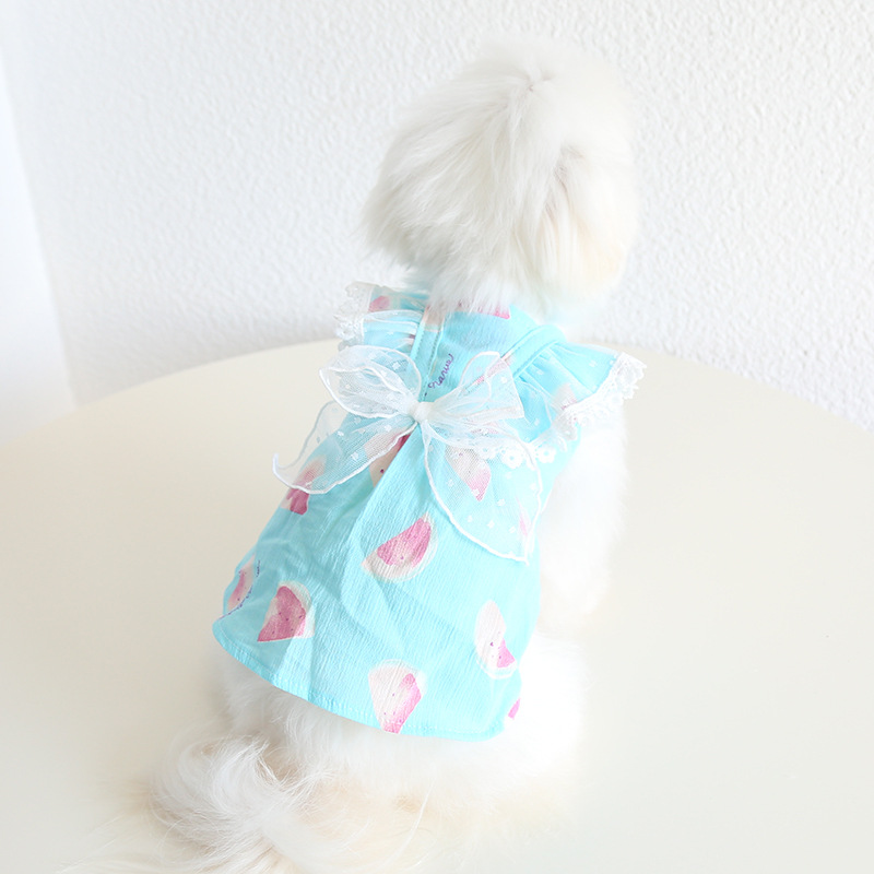 Pet Lace Bow Dress Watercolor Print Design