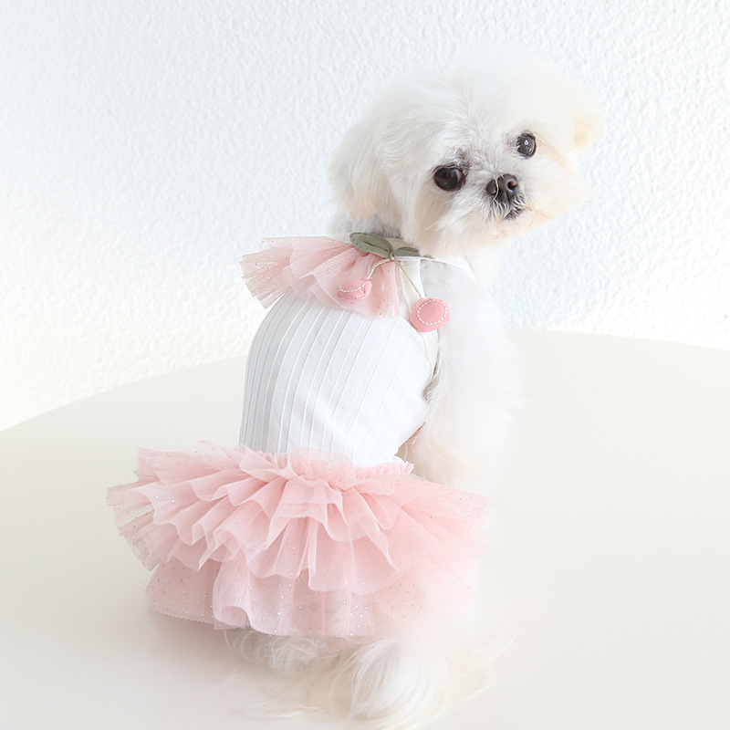 Pet Cherry Lace Dress Tiered Tulle Skirt