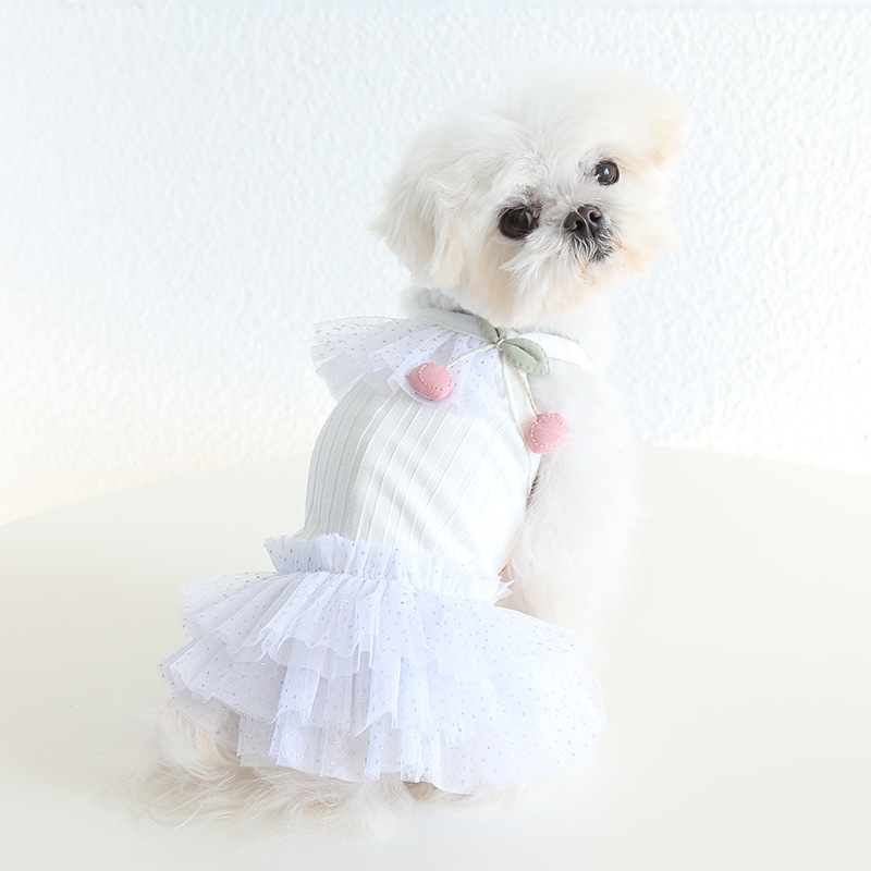 Pet Cherry Lace Dress Tiered Tulle Skirt