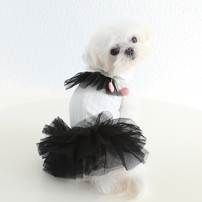 Pet Cherry Lace Dress Tiered Tulle Skirt