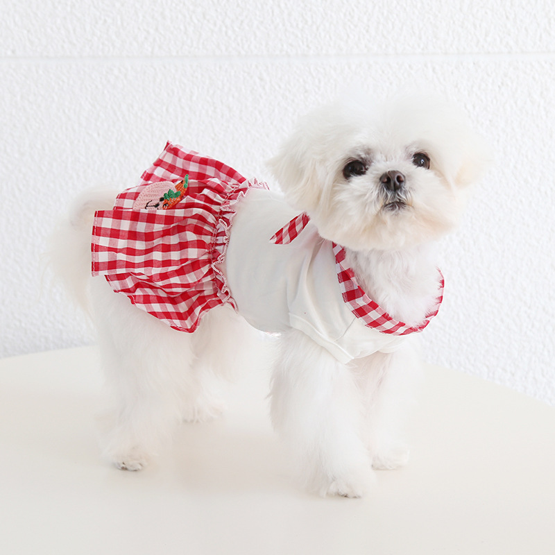 Pet Fruit Bear Dress Checkered Bow Skirt