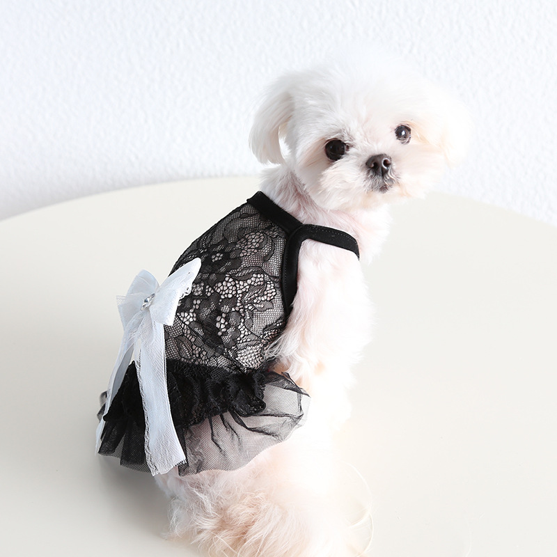 Pet Lace Bow Dress Tiered Tulle Fairy Style