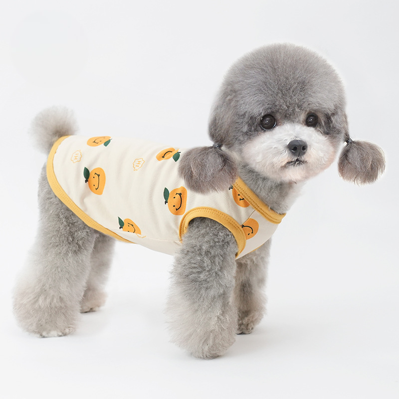 Pet Mesh Vest Harness Design Breathable Summer Wear