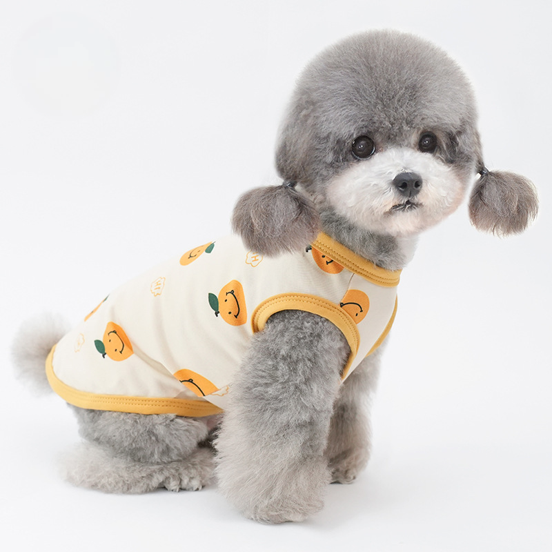 Pet Mesh Vest Harness Design Breathable Summer Wear
