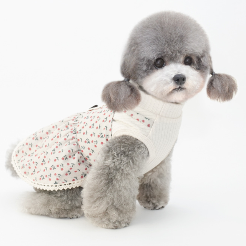 Pet Two Piece Dress Set Mock Collar Winter Design