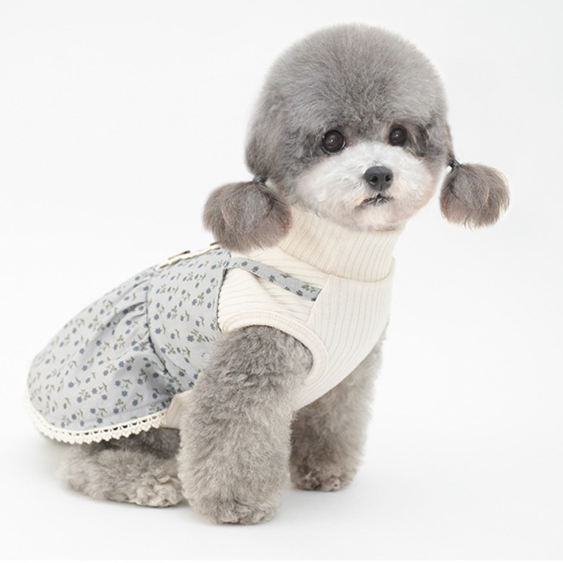 Pet Two Piece Dress Set Mock Collar Winter Design