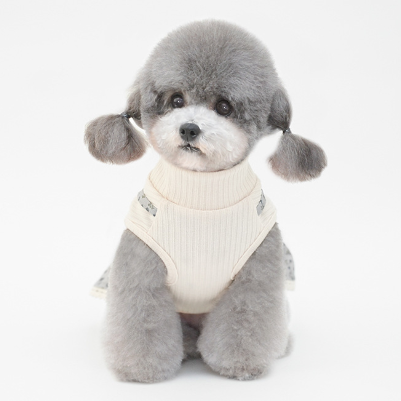 Pet Two Piece Dress Set Mock Collar Winter Design